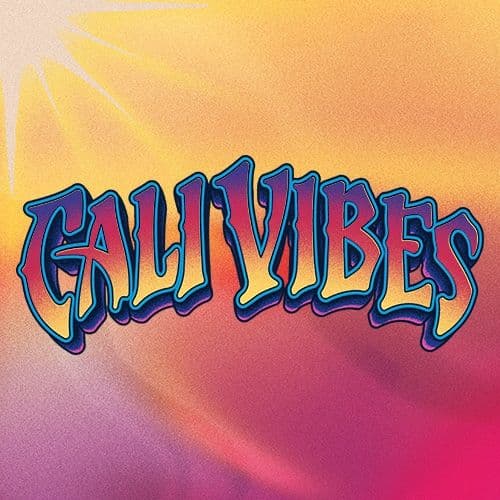 Cali Vibes Fest Announce 2024 Lineup