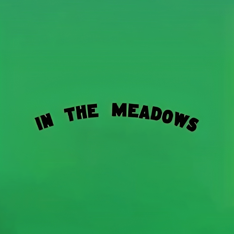 In The Meadows: Dublin's Newest Festival Unveils 2024 Lineup Banner