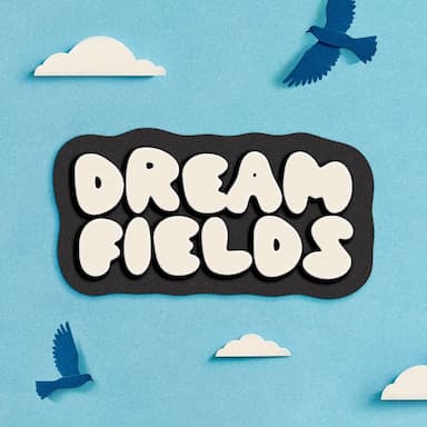 Dream Fields 2024