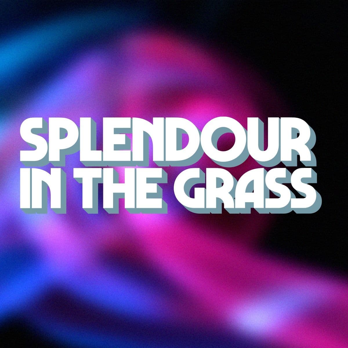 Iconic Performances at Splendour in the Grass Festival