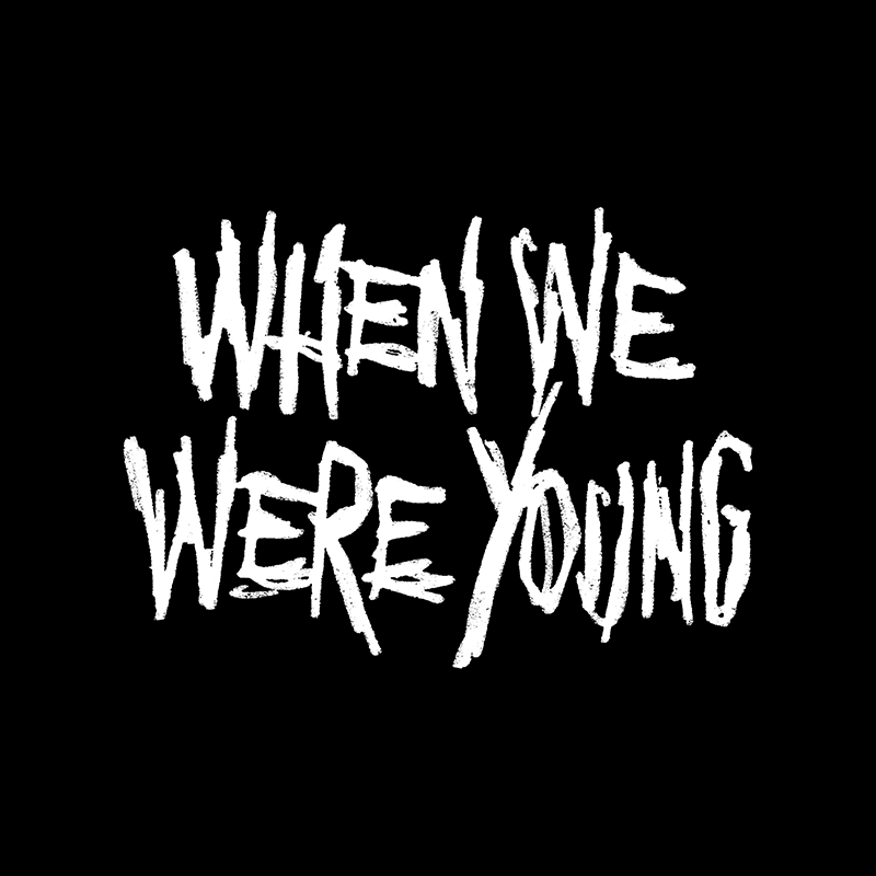 My Chemical Romance, Fall Out Boy, and More: When We Were Young 2024 Lineup Revealed